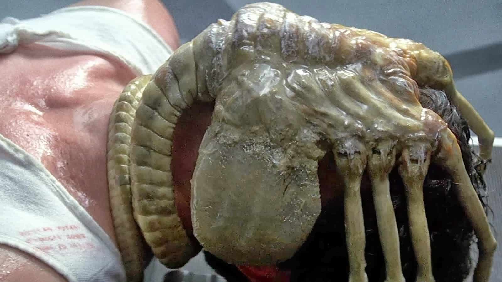 The Facehugger as seen in Alien