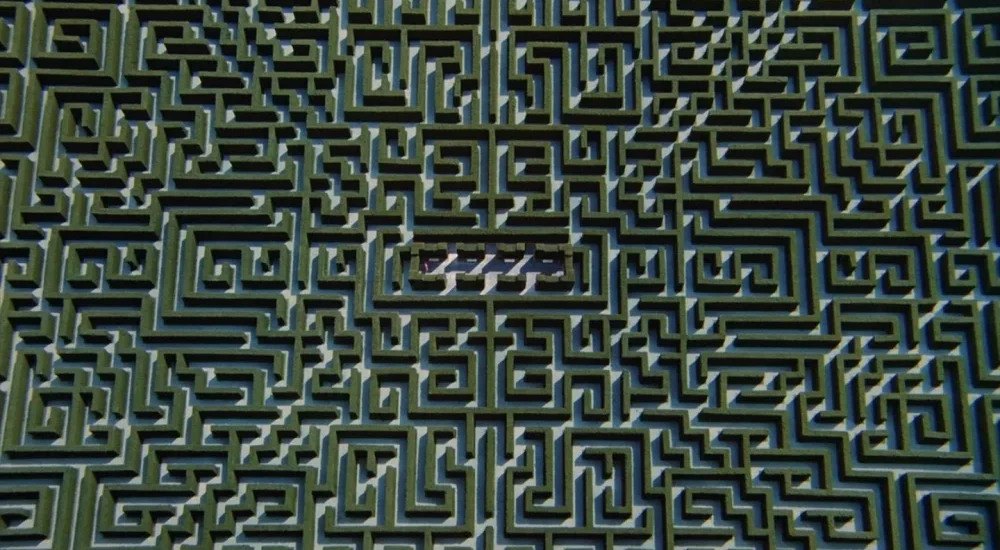 The maze transition shot